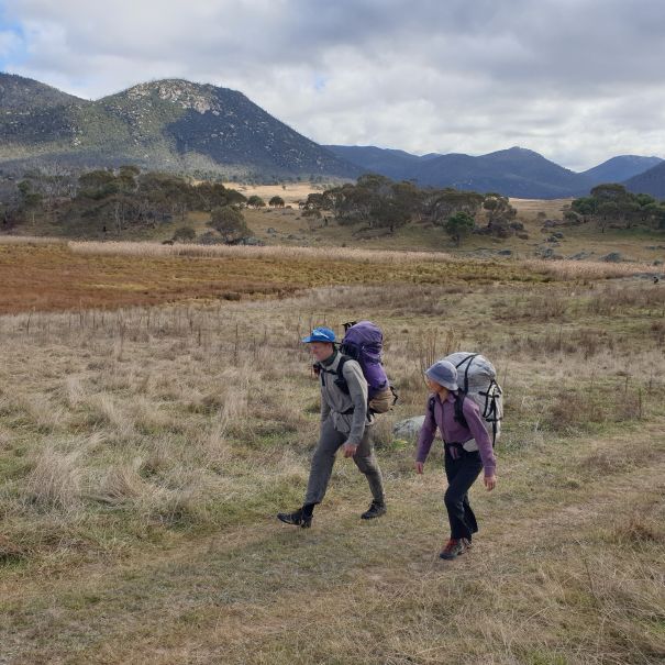 Exit track around Bogong swamp, with Yankee Hat and the Sabby Range in the background		Image K. Muir