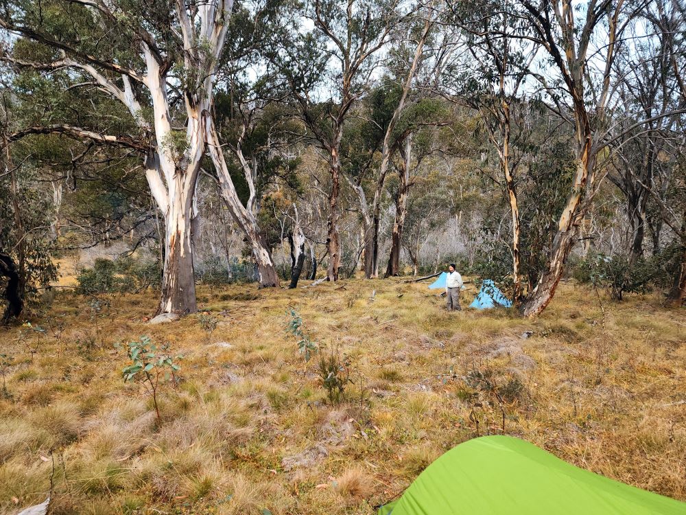 Campsite on Sams Creek 	image D. Oslington