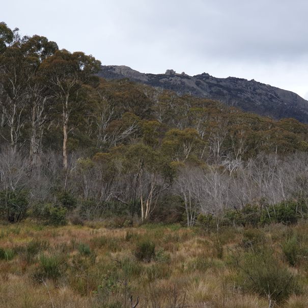 Sams Creek looking back towards Mt Gudgenby