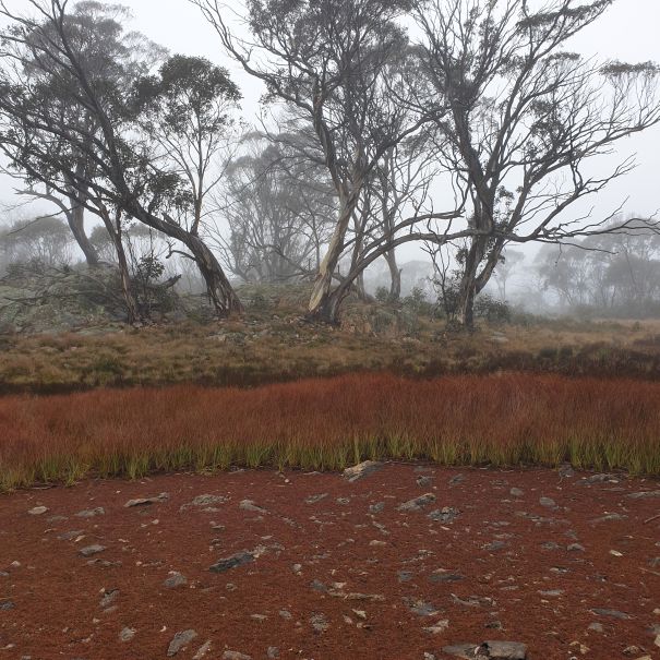 Scabby tarn			image K. Muir