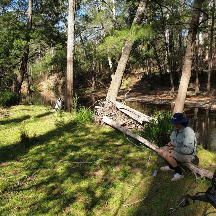 Second camp on the Deua River