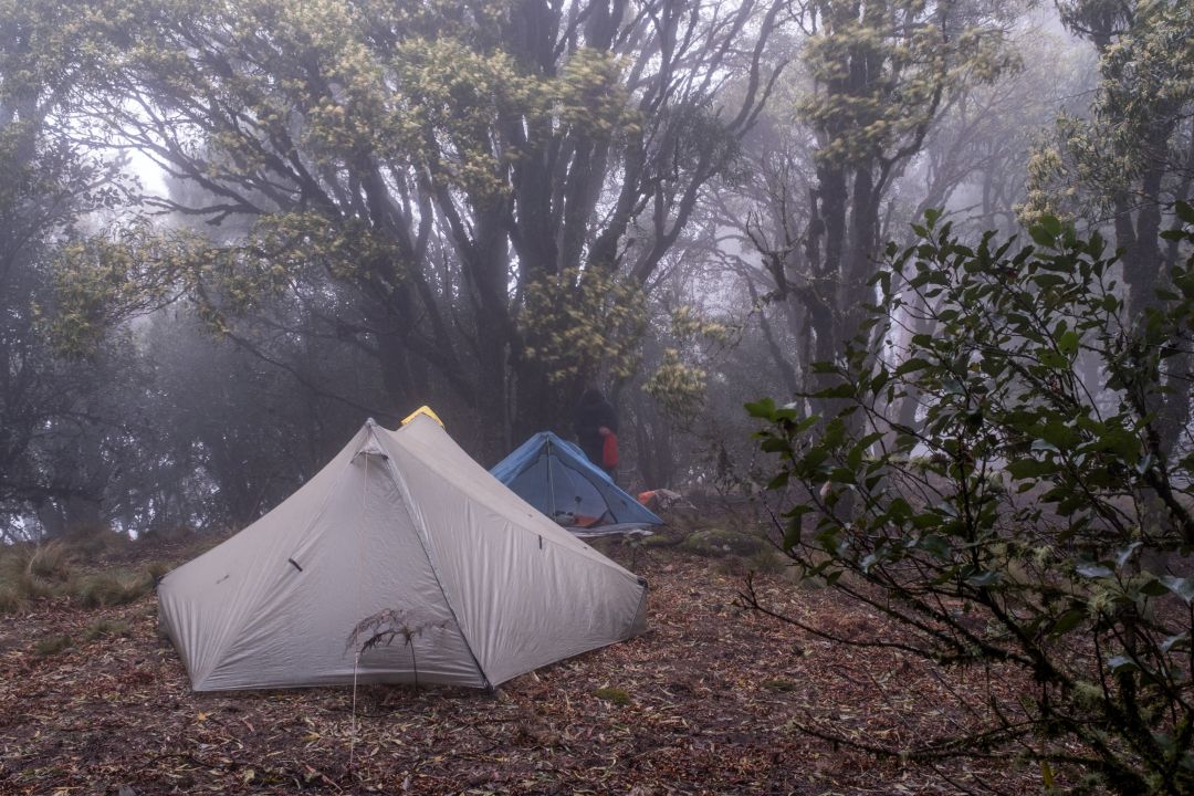 Campsite on Cockcrow Mountain