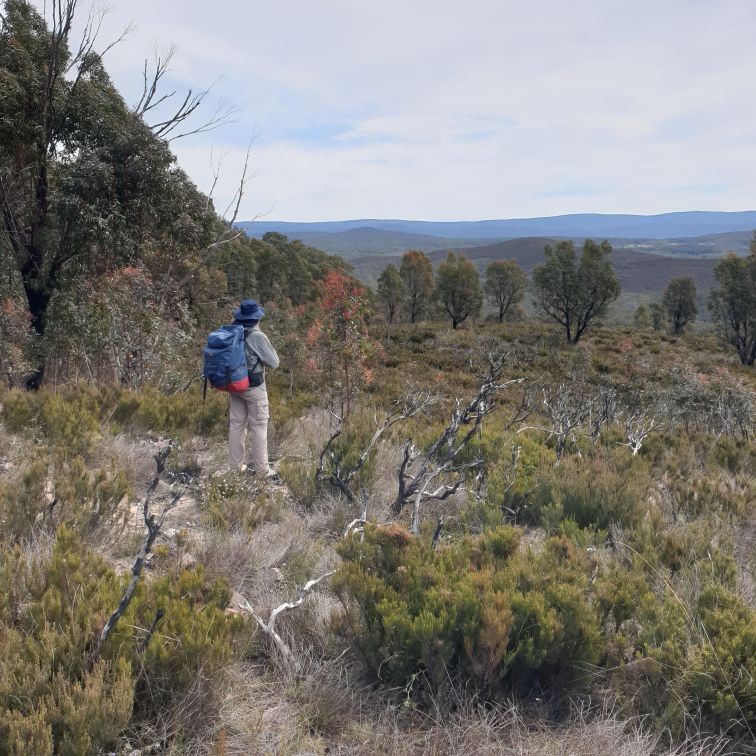 Descent spur to the Shoalhaven River