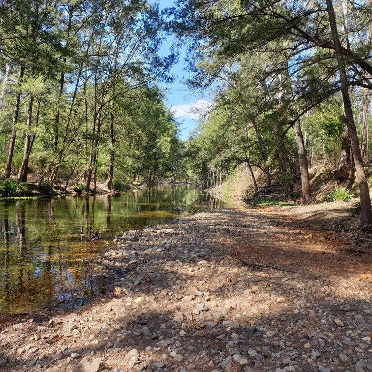 Deua River near Canoolie