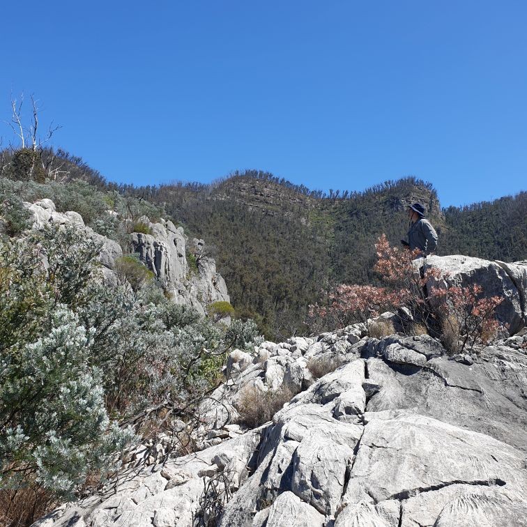 Limestone on the descent spur from Minuma Range