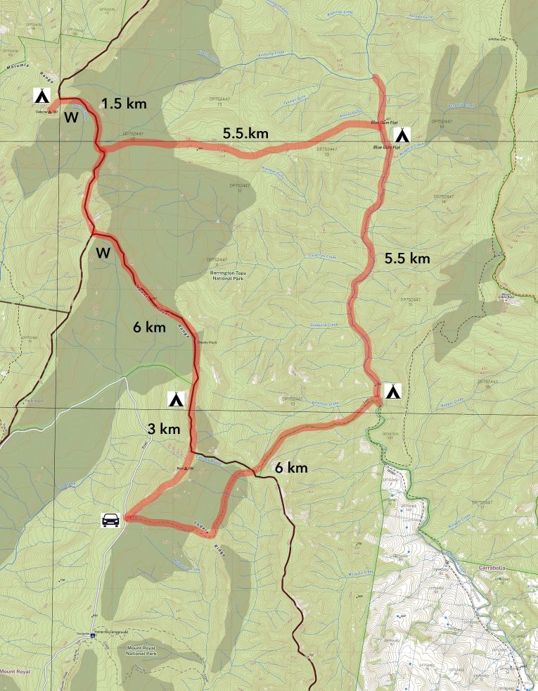 Mt Royal Range - an old growth forest wonderland 