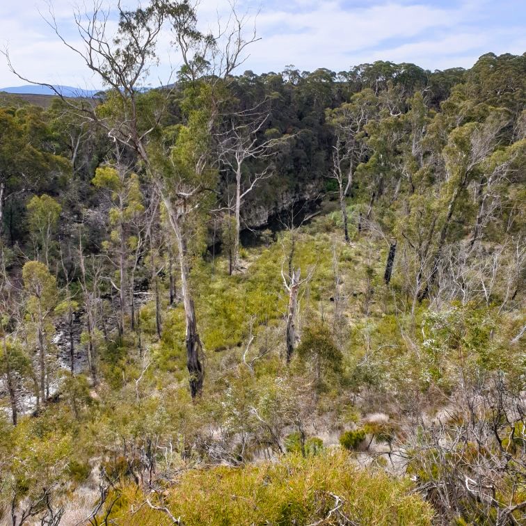 Incised bend on the upper Shoalhaven River